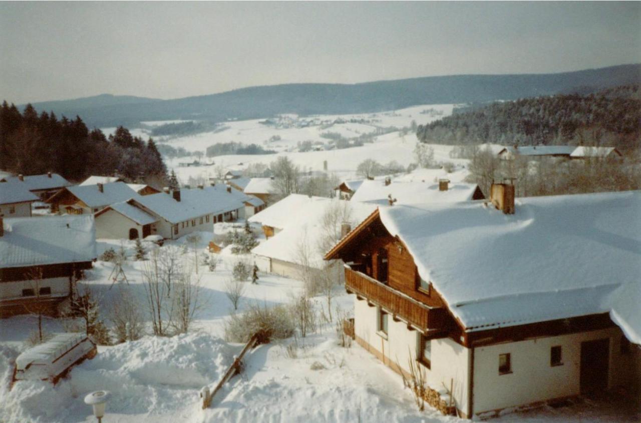 Fewo Mit Malerischem Bergblick Im Bischofsmais Exterior foto