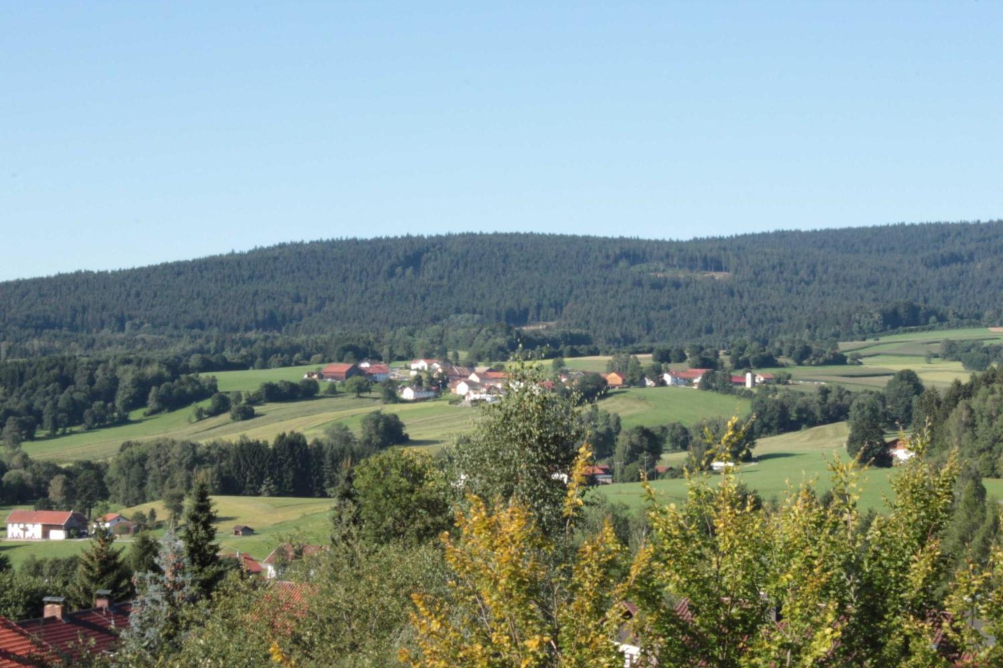 Fewo Mit Malerischem Bergblick Im Bischofsmais Exterior foto