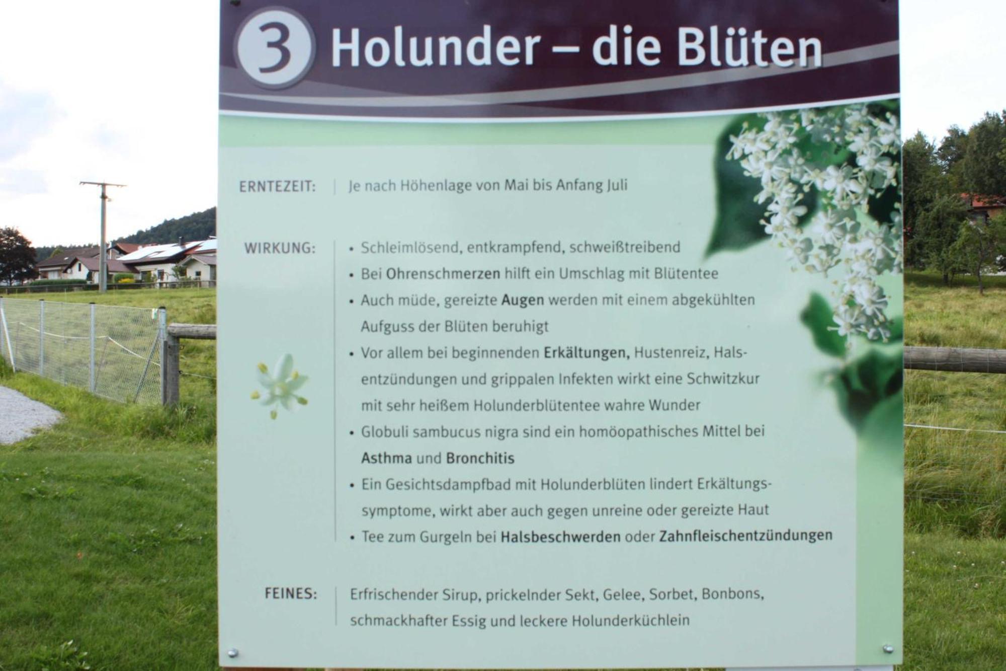 Fewo Mit Malerischem Bergblick Im Bischofsmais Exterior foto
