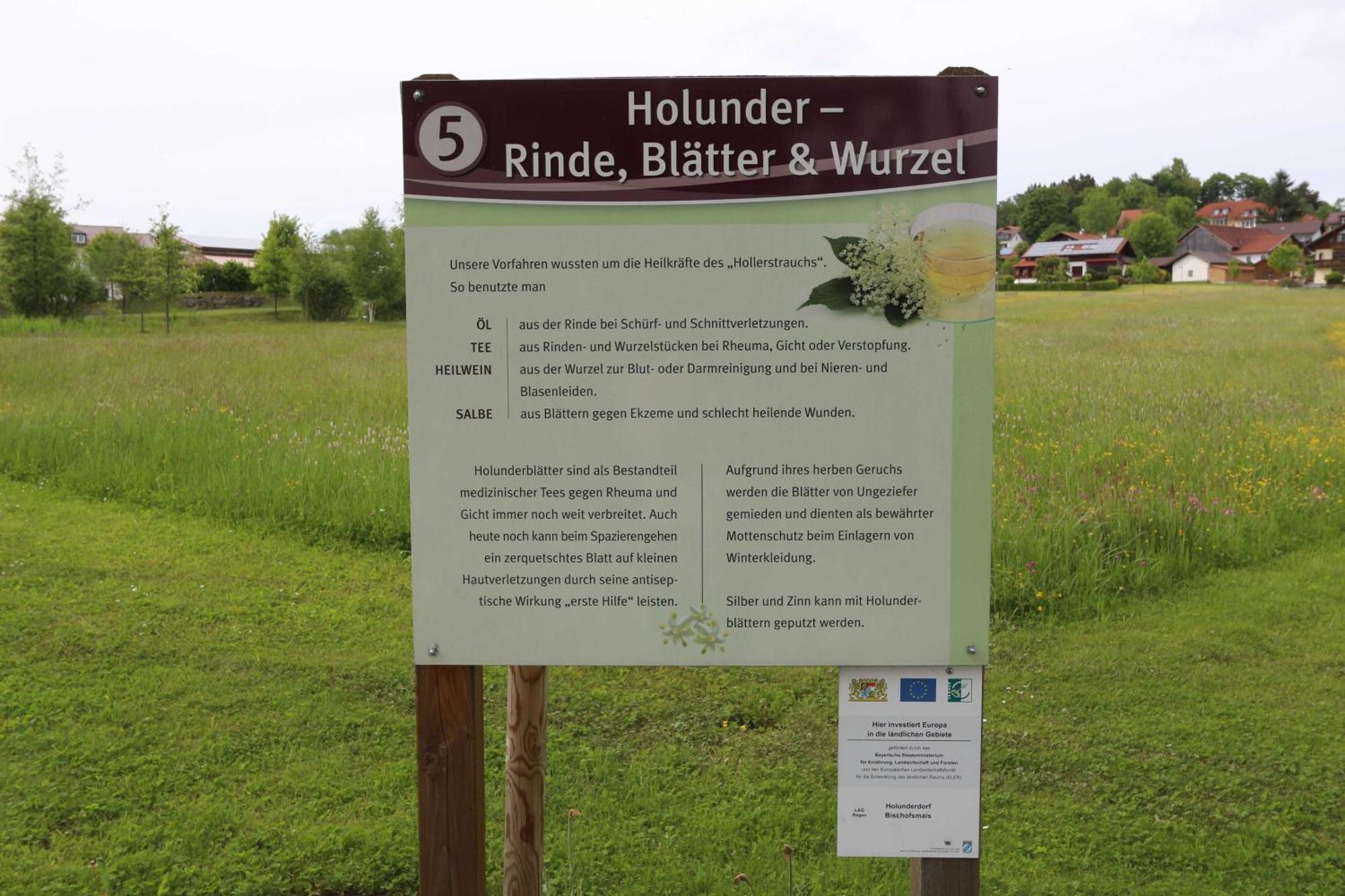 Fewo Mit Malerischem Bergblick Im Bischofsmais Exterior foto